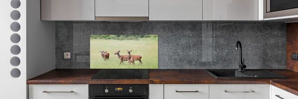 Panou sticlă decorativa bucătărie Deer cu tinere