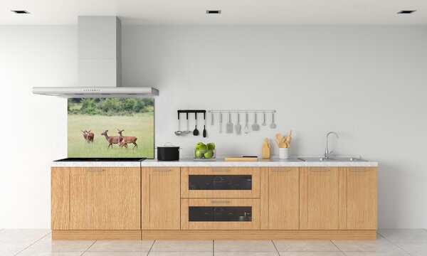 Panou sticlă decorativa bucătărie Deer cu tinere