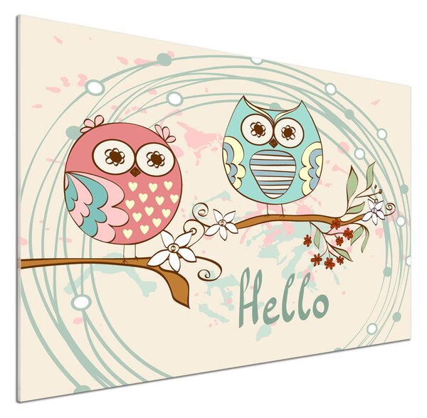 Sticlă bucătărie Owls