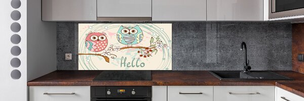 Sticlă bucătărie Owls