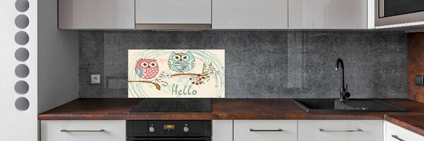 Sticlă bucătărie Owls