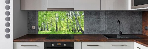 Panou perete bucătărie pădurea de mesteacăn