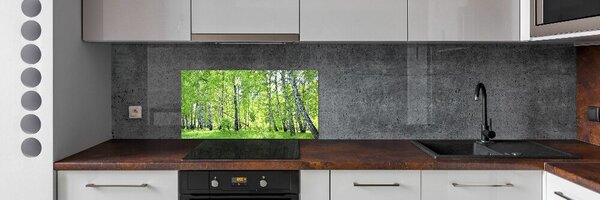 Panou perete bucătărie pădurea de mesteacăn