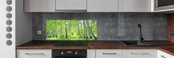 Panou perete bucătărie pădurea de mesteacăn