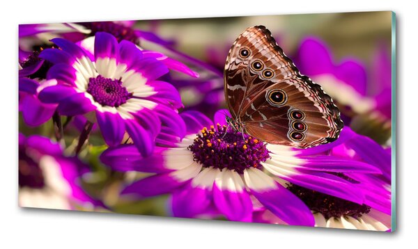 Panou sticlă decorativa bucătărie Fluture pe o floare