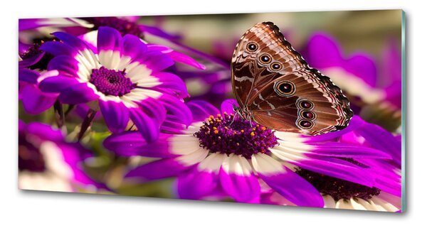 Panou sticlă decorativa bucătărie Fluture pe o floare