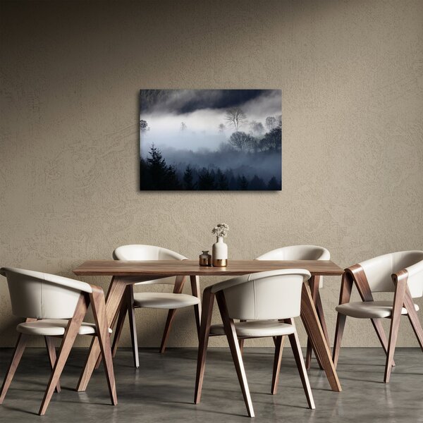 Tablou cu ceță deasupra pădurii (70x50 cm)
