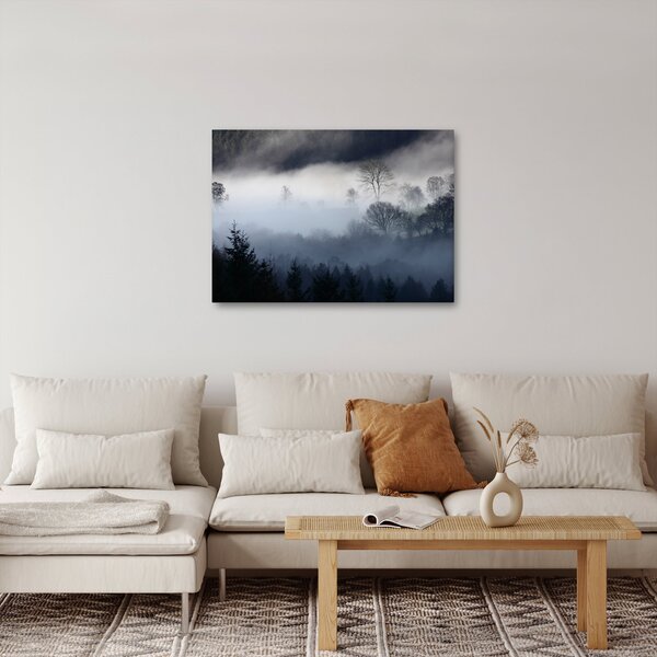 Tablou cu ceță deasupra pădurii (70x50 cm)