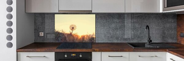 Panou sticla securizata bucatarie Păpădie