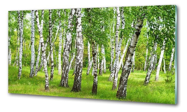Panou de bucătărie pădurea de mesteacăn