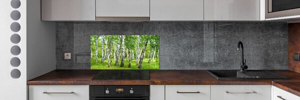 Panou de bucătărie pădurea de mesteacăn