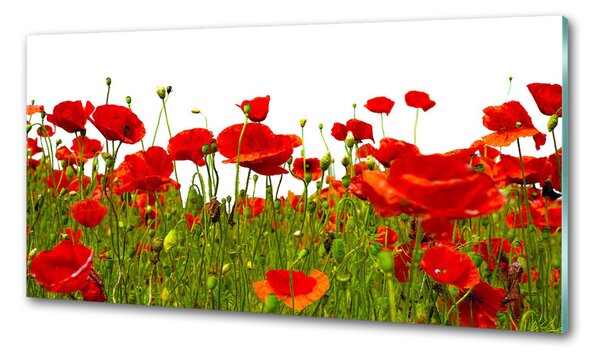 Panou perete bucătărie wildflowers maci