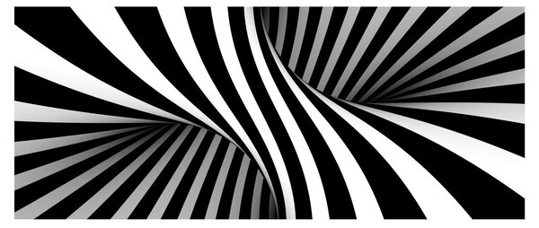 Tablou abstract cu dungi de zebră (120x50 cm)