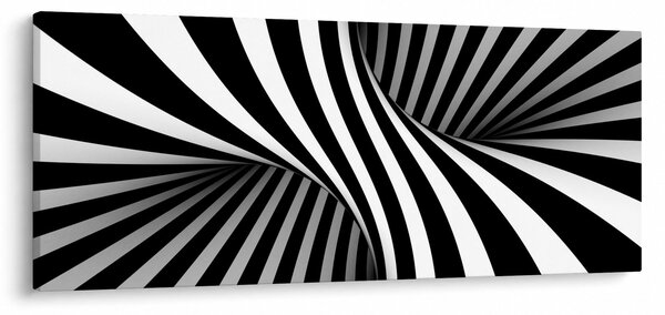 Tablou abstract cu dungi de zebră (120x50 cm)