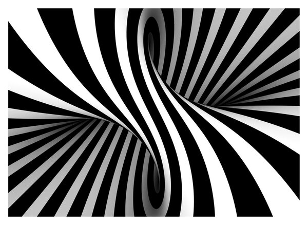 Tablou abstract cu dungi de zebră (70x50 cm)