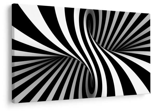 Tablou abstract cu dungi de zebră (90x60 cm)