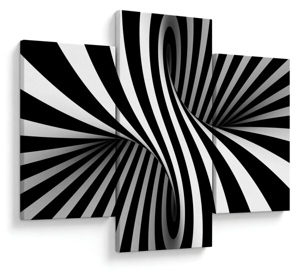 Tablou abstract cu dungi de zebră (90x60 cm)