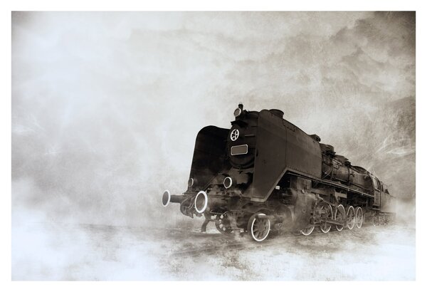 Tablou - Tren în ceață (90x60 cm)