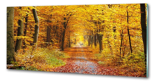 Panou sticlă bucătărie pădure în toamna