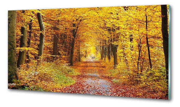Panou sticlă bucătărie pădure în toamna