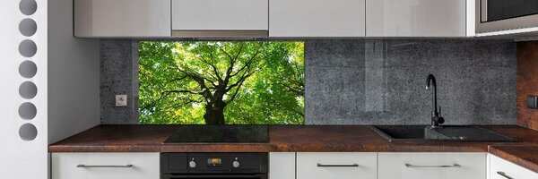 Panou sticla securizata bucatarie Pădure verde