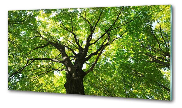 Panou sticla securizata bucatarie Pădure verde