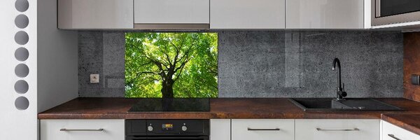 Panou sticla securizata bucatarie Pădure verde