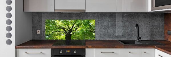 Panou sticla securizata bucatarie Pădure verde