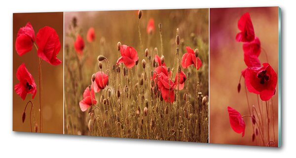 Panou sticla securizata bucatarie maci triptic