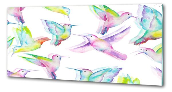 Sticlă printata bucătărie colibri