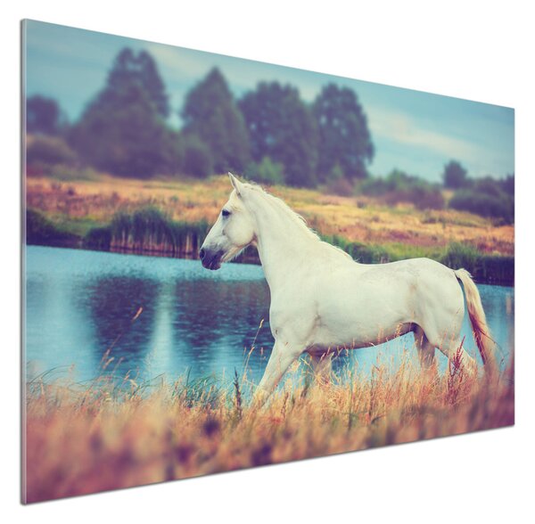 Sticlă pentru bucătărie White Lake Horse