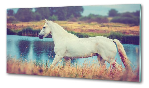 Sticlă pentru bucătărie White Lake Horse