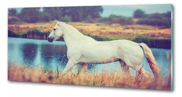 Sticlă pentru bucătărie White Lake Horse