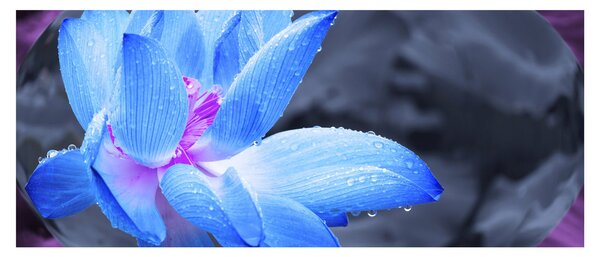Tablou florilor în detailu (120x50 cm)