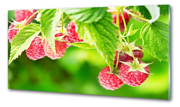 Panou sticla securizata bucatarie Zmeură în grădină