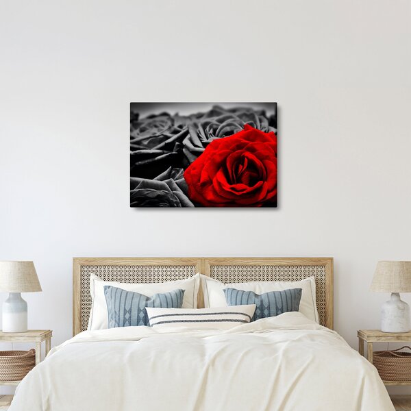 Tablou - Flori de trandafir (70x50 cm)