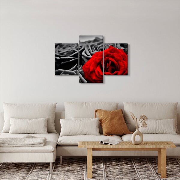 Tablou - Flori de trandafir (90x60 cm)