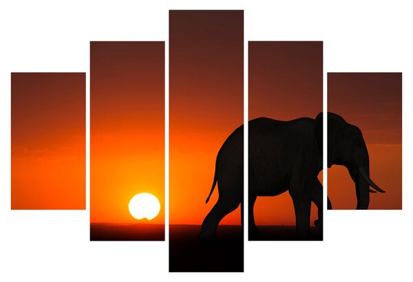 Tablou cu elefant în apus de soare (150x105 cm)