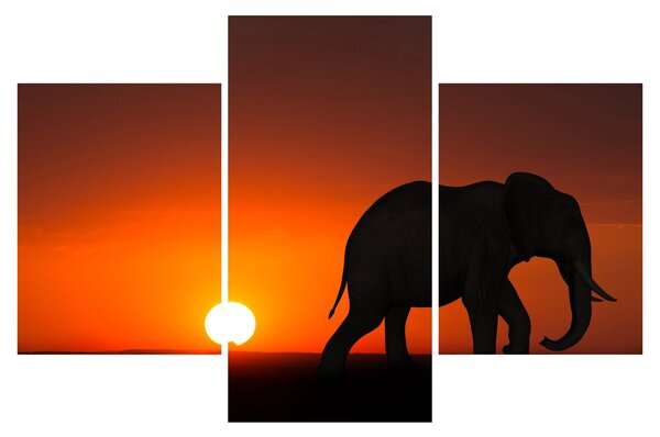 Tablou cu elefant în apus de soare (90x60 cm)