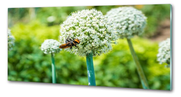 Panou sticla securizata bucatarie usturoi flori