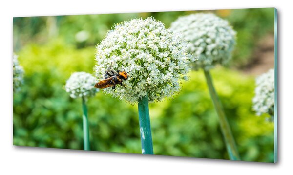 Panou sticla securizata bucatarie usturoi flori