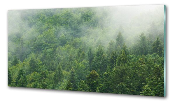 Panou sticla securizata bucatarie pădure misterioasă