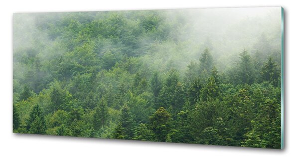 Panou sticla securizata bucatarie pădure misterioasă