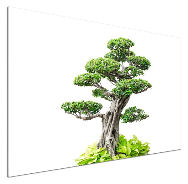 Sticlă pentru bucătărie copac bonsai