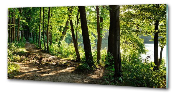 Sticlă pentru bucătărie Calea în lunca