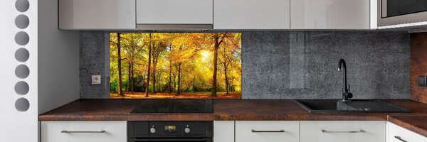 Panou perete bucătărie pădure în toamna