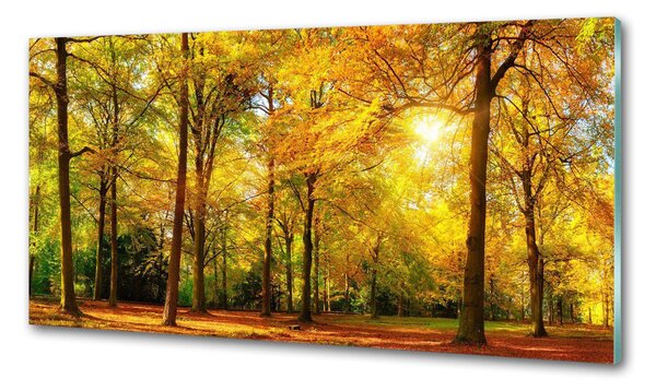 Panou perete bucătărie pădure în toamna