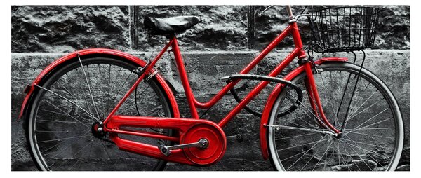 Tablou - Bicicleta istorică (120x50 cm)