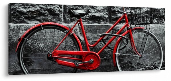 Tablou - Bicicleta istorică (120x50 cm)