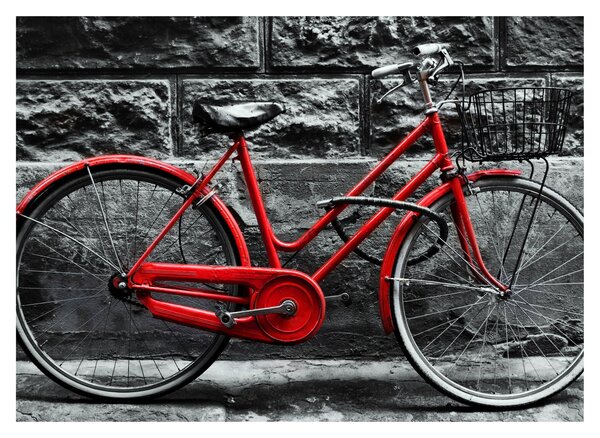 Tablou - Bicicleta istorică (70x50 cm)